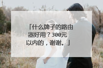 什么牌子的路由器好用?300元以内的,谢谢。