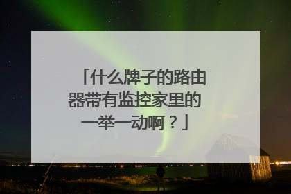 什么牌子的路由器带有监控家里的一举一动啊？