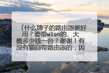 什么牌子的路由器更好用?要带wlan的、大概多少钱一台?谢谢!有没有猫自带路由器的,因为我的是电信