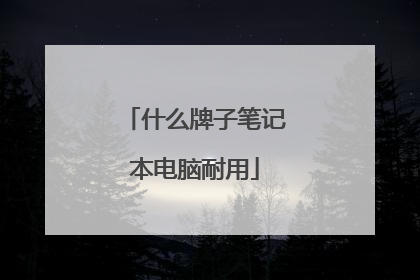 什么牌子笔记本电脑耐用
