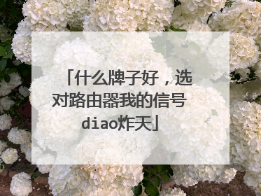 什么牌子好,选对路由器我的信号diao炸天