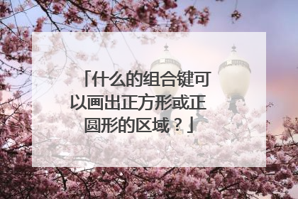 什么的组合键可以画出正方形或正圆形的区域?