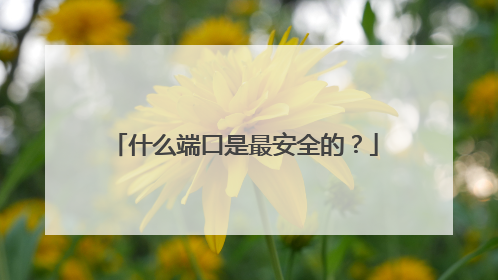 什么端口是最安全的？