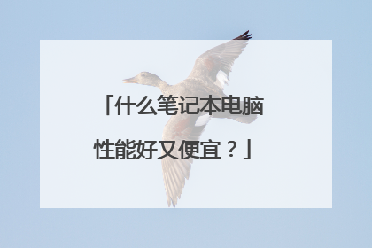 什么笔记本电脑性能好又便宜?