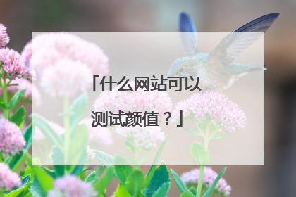 什么网站可以测试颜值?