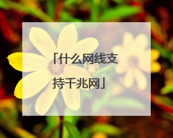 什么网线支持千兆网