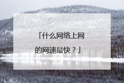 什么网络上网的网速最快？