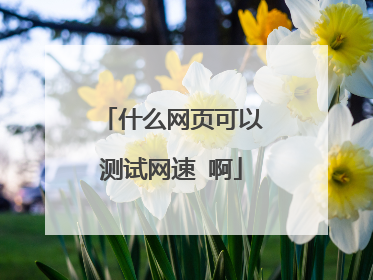 什么网页可以测试网速 啊