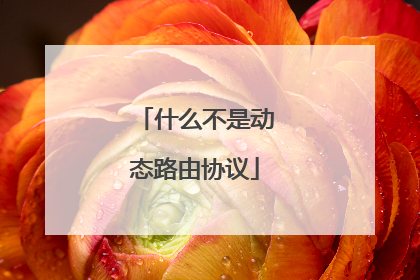 什么不是动态路由协议