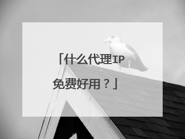 什么代理IP免费好用?