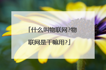 什么叫物联网?物联网是干嘛用?