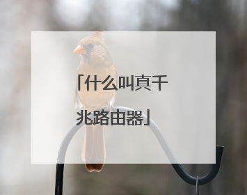 什么叫真千兆路由器