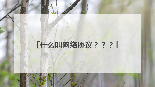 什么叫网络协议？？？