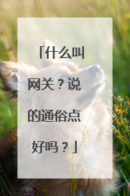 什么叫网关?说的通俗点好吗?