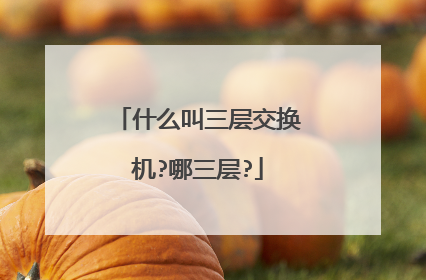 什么叫三层交换机?哪三层?