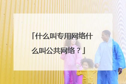 什么叫专用网络什么叫公共网络?