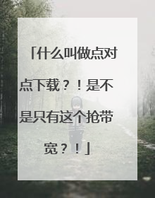 什么叫做点对点下载?!是不是只有这个抢带宽?!