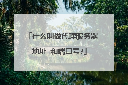 什么叫做代理服务器地址 和端口号?