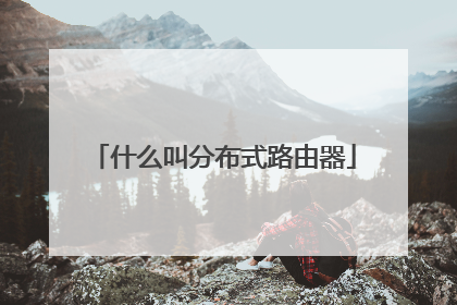 什么叫分布式路由器