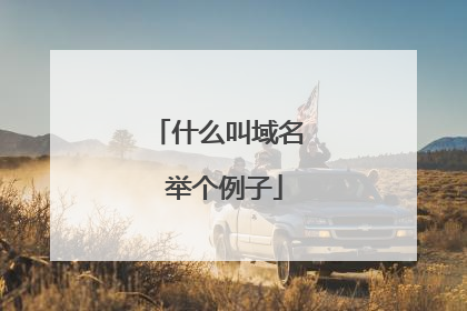 什么叫域名 举个例子