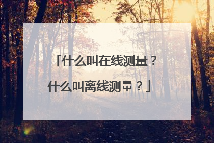 什么叫在线测量?什么叫离线测量?