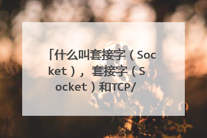 什么叫套接字（Socket）, 套接字（Socket）和TCP/IP协议的关系？