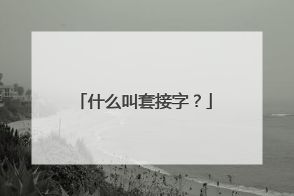 什么叫套接字？