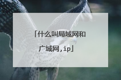 什么叫局域网和广域网,ip