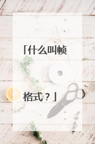 什么叫帧格式?