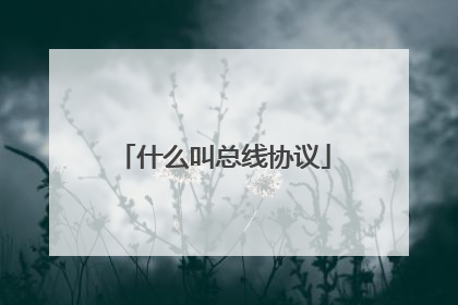 什么叫总线协议