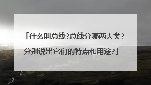 什么叫总线?总线分哪两大类?分别说出它们的特点和用途?