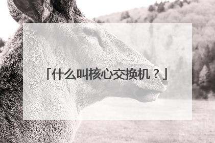 什么叫核心交换机？