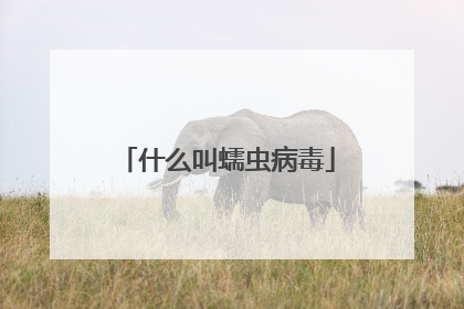 什么叫蠕虫病毒