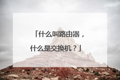 什么叫路由器,什么是交换机?