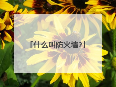 什么叫防火墙?