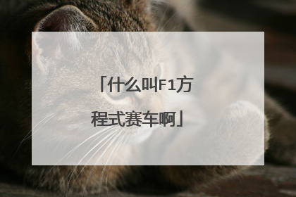 什么叫F1方程式赛车啊