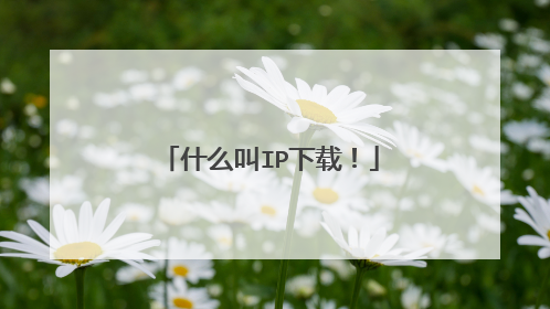 什么叫IP下载！