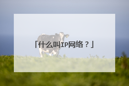 什么叫IP网络？