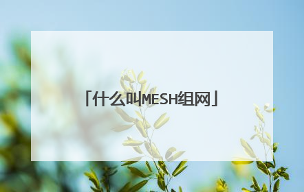 什么叫MESH组网