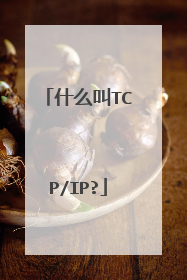 什么叫TCP/IP?