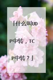 什么叫UDP中转，TCP中转？