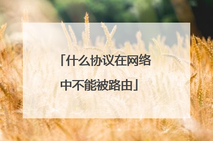 什么协议在网络中不能被路由