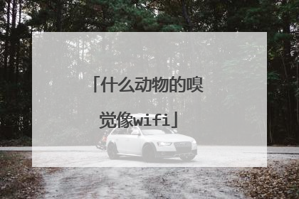 什么动物的嗅觉像wifi