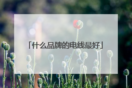 什么品牌的电线最好
