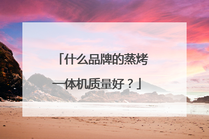 什么品牌的蒸烤一体机质量好?