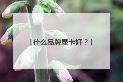 什么品牌显卡好？