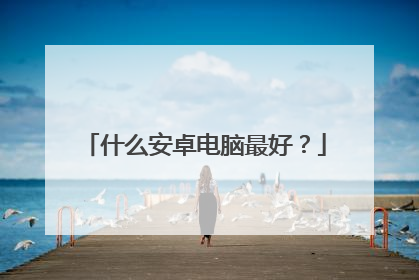 什么安卓电脑最好?