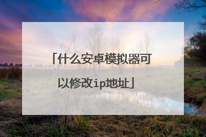 什么安卓模拟器可以修改ip地址