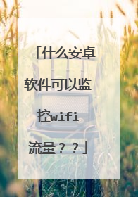 什么安卓软件可以监控wifi流量??