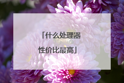 什么处理器性价比最高